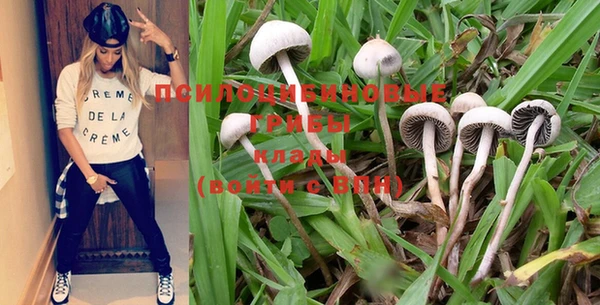мяу мяу мука Каменногорск
