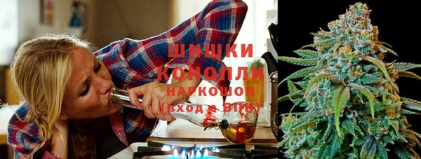 хмурый Каменка